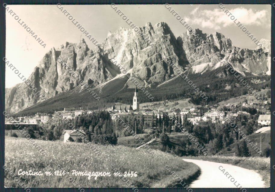 Belluno Cortina Panorama foto FG cartolina BB9149 – fronte