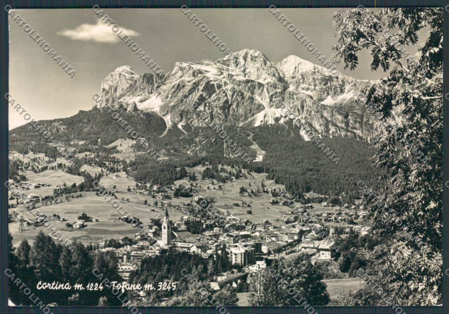 Belluno Cortina Panorama foto FG cartolina BB9151 – fronte