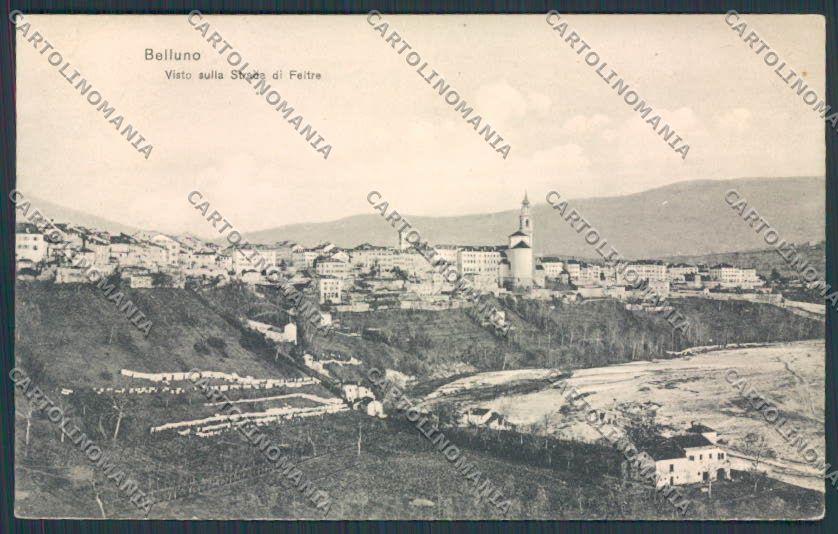 Belluno Città Panorama cartolina BB9174 – fronte