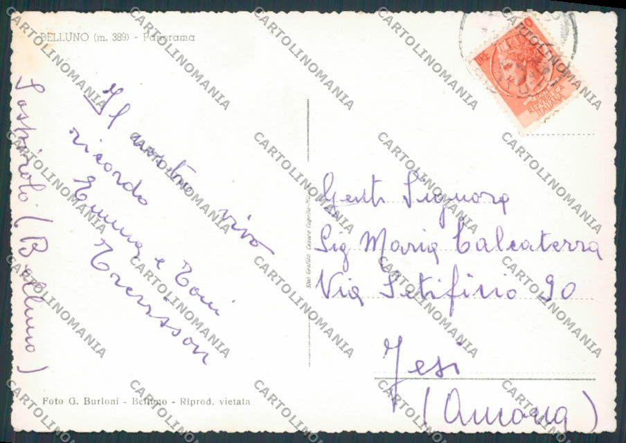 Belluno Città Panorama FG cartolina BB9197 – retro