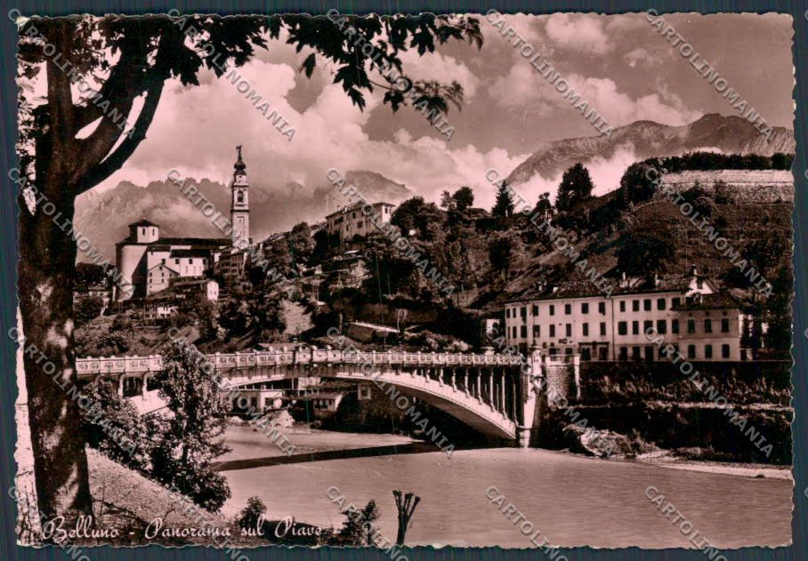 Belluno Città Panorama foto FG cartolina BB9200 – fronte
