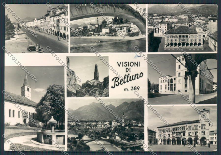 Belluno Città Vedutine foto FG cartolina BB9202 – fronte