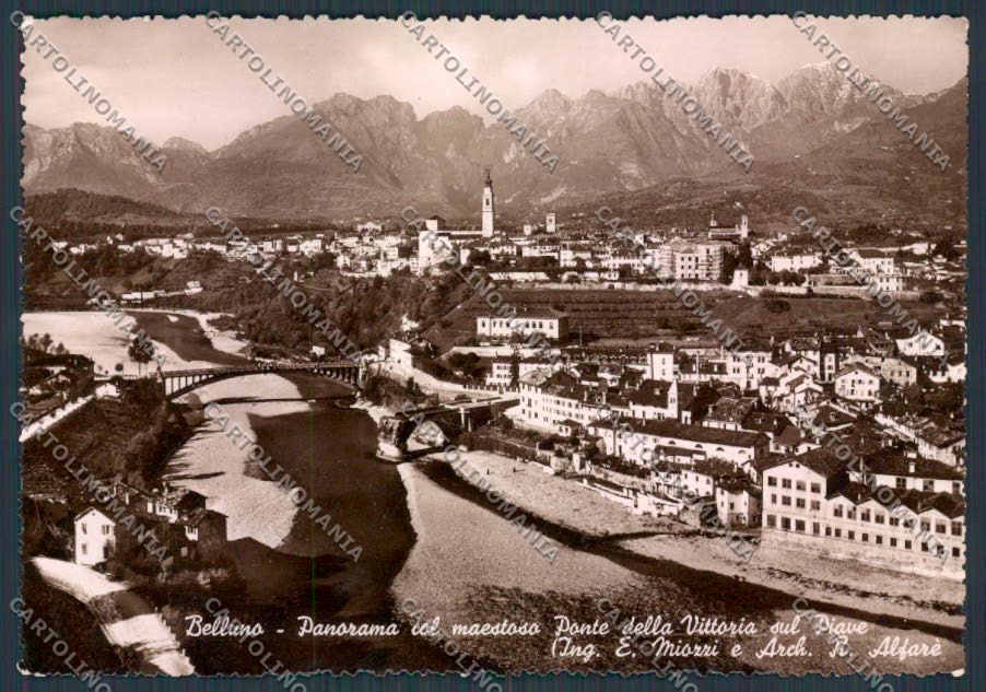 Belluno Città Panorama foto FG cartolina BB9205 – fronte