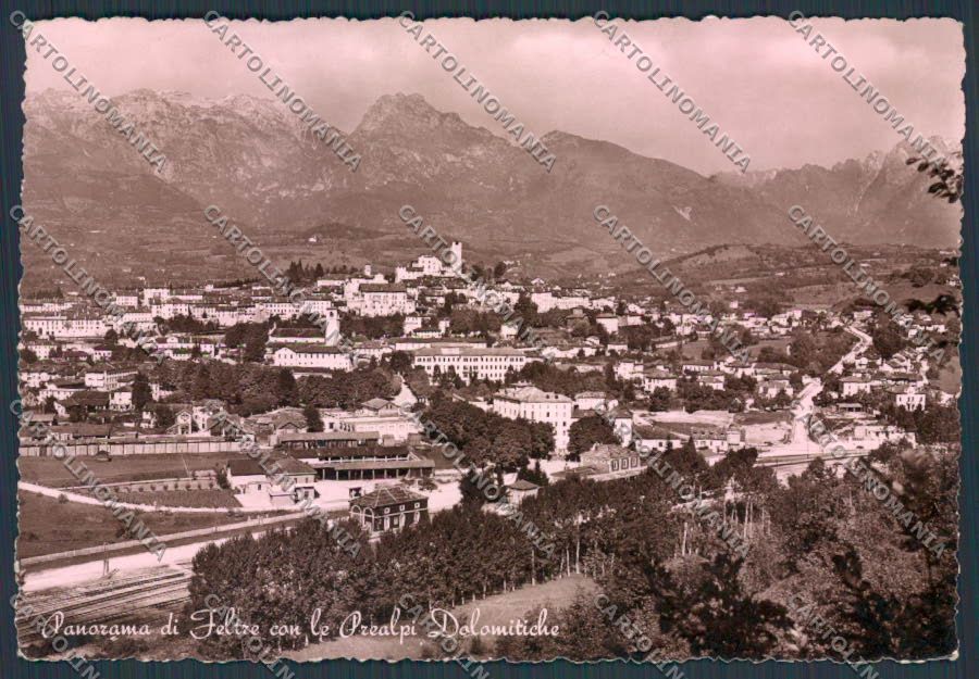 Belluno Feltre Panorama foto FG cartolina BB9230 – fronte