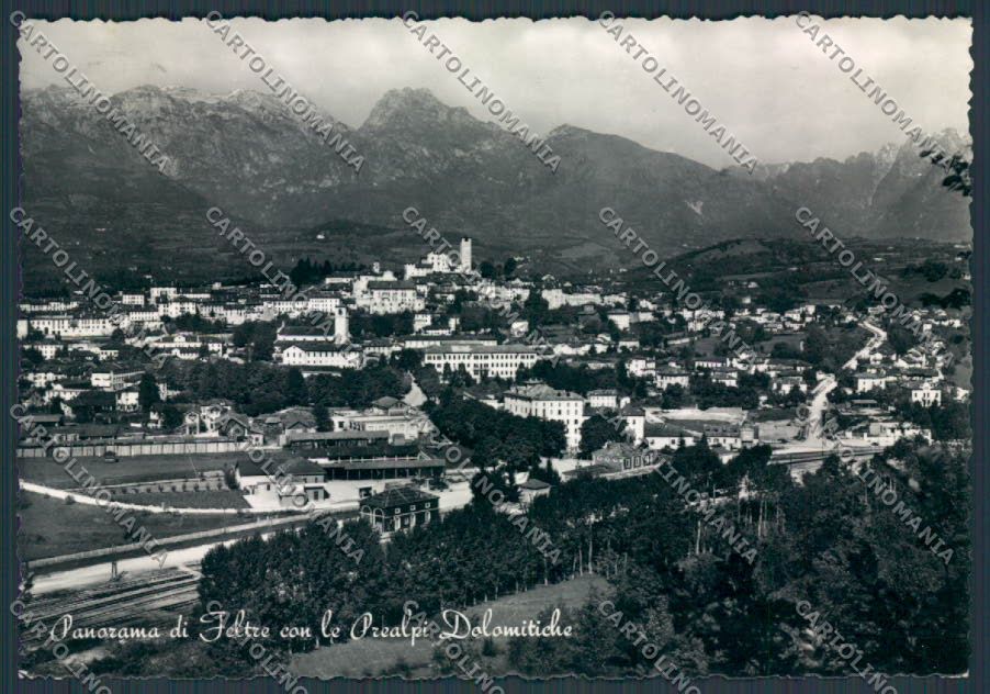 Belluno Feltre Panorama foto FG cartolina BB9231 – fronte