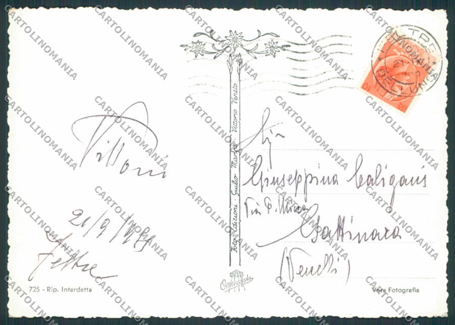 Belluno Feltre Panorama foto FG cartolina BB9231 – retro