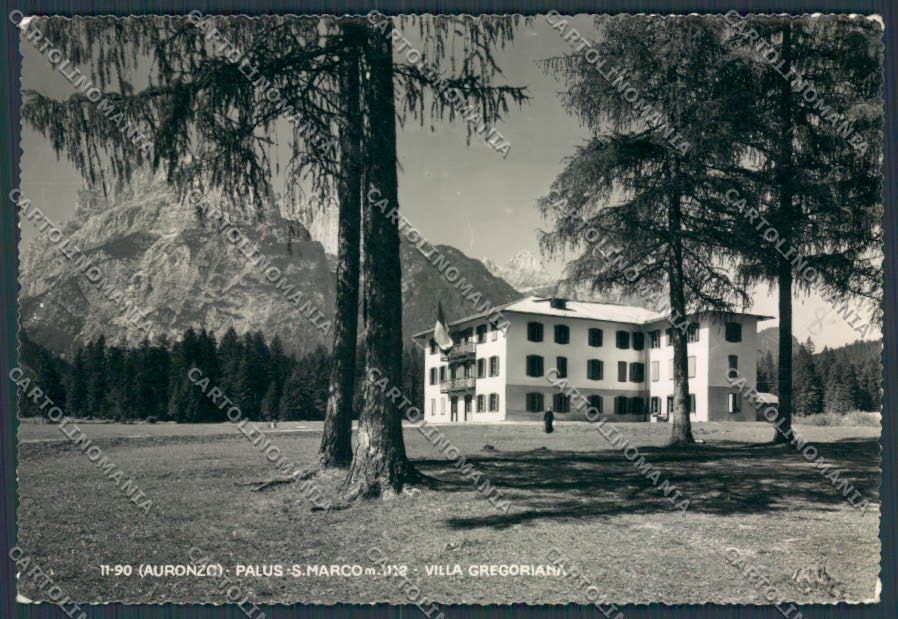 Belluno Auronzo Palus San Marco Villa Gregoriana foto FG cartolina BB9247 – fronte