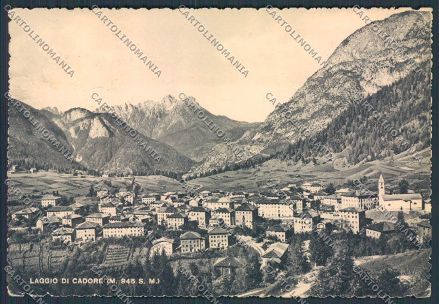 Belluno Laggio di Cadore Panorama FG cartolina BB9254 – fronte