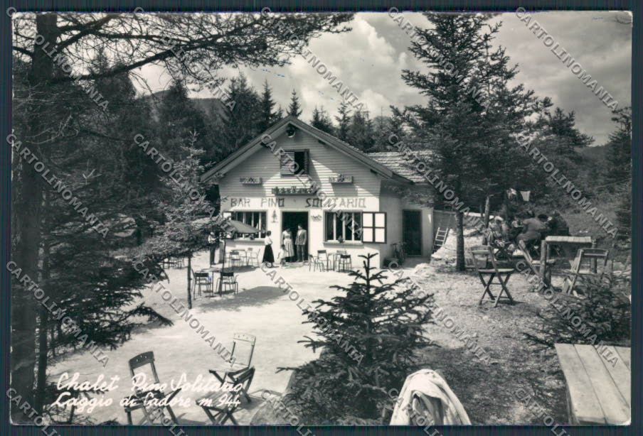 Belluno Laggio di Cadore Chalet Pino Solitario foto FG cartolina BB9256 – fronte