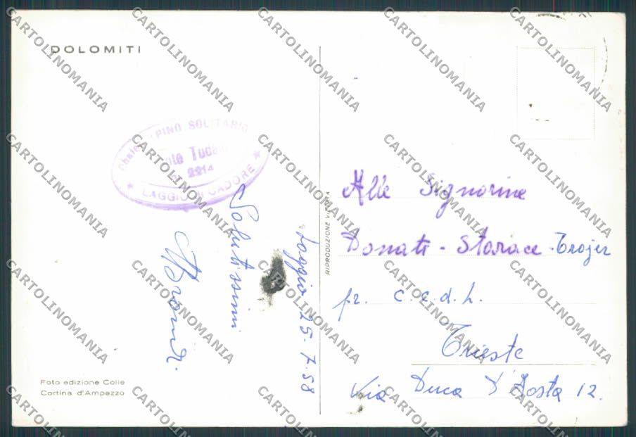 Belluno Laggio di Cadore Chalet Pino Solitario foto FG cartolina BB9256 – retro