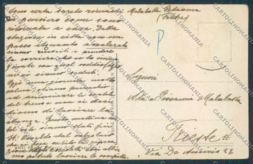 Belluno Pedavena Panorama cartolina BB9284 – retro