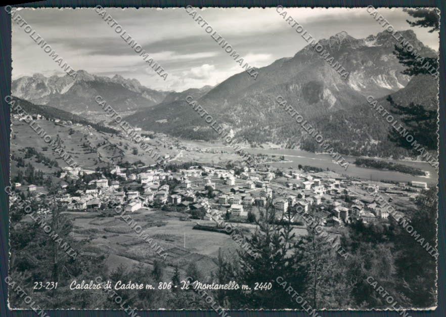 Belluno Calalzo il Montanello foto FG cartolina BB9294 – fronte