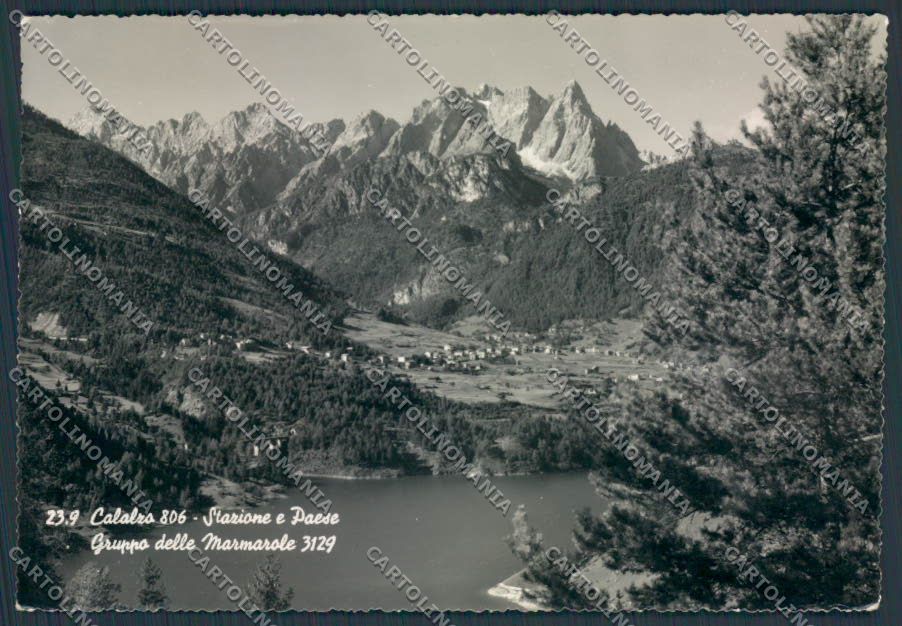Belluno Calalzo Panorama foto FG cartolina BB9296 – fronte