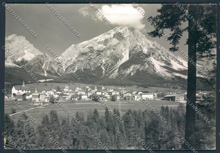 Belluno San Vito di Cadore Panorama foto FG cartolina BB9307 – fronte