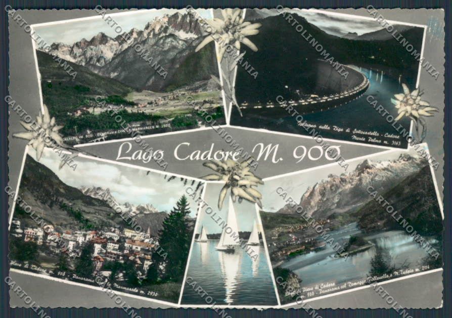 Belluno Pieve Vedutine foto FG cartolina BB9314 – fronte
