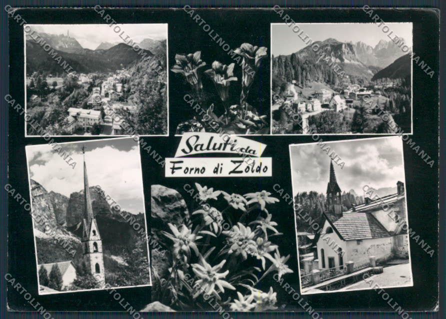 Belluno Forno di Zoldo Vedutine foto FG cartolina BB9337 – fronte