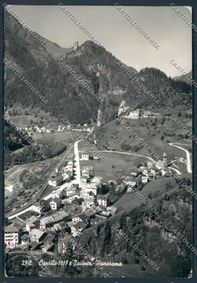 Belluno Caprile Panorama foto FG cartolina BB9339 – fronte