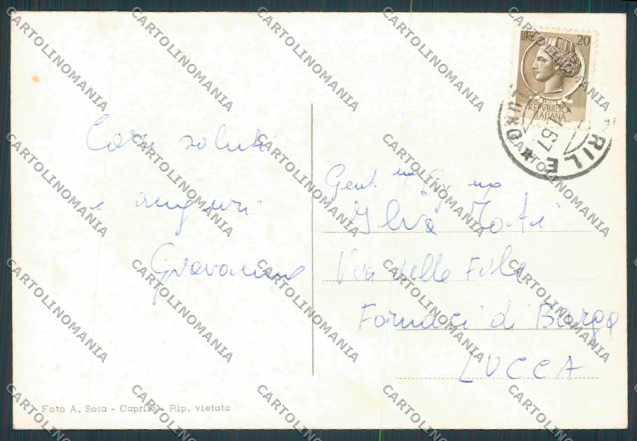 Belluno Caprile Panorama foto FG cartolina BB9341 – retro