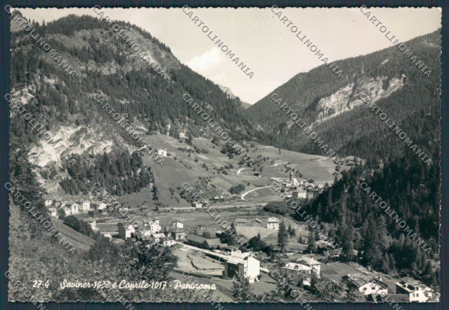 Belluno Caprile Panorama foto FG cartolina BB9342 – fronte