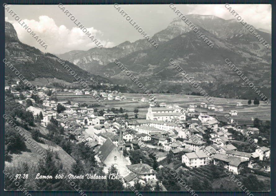 Belluno Lamon Panorama foto FG cartolina BB9344 – fronte