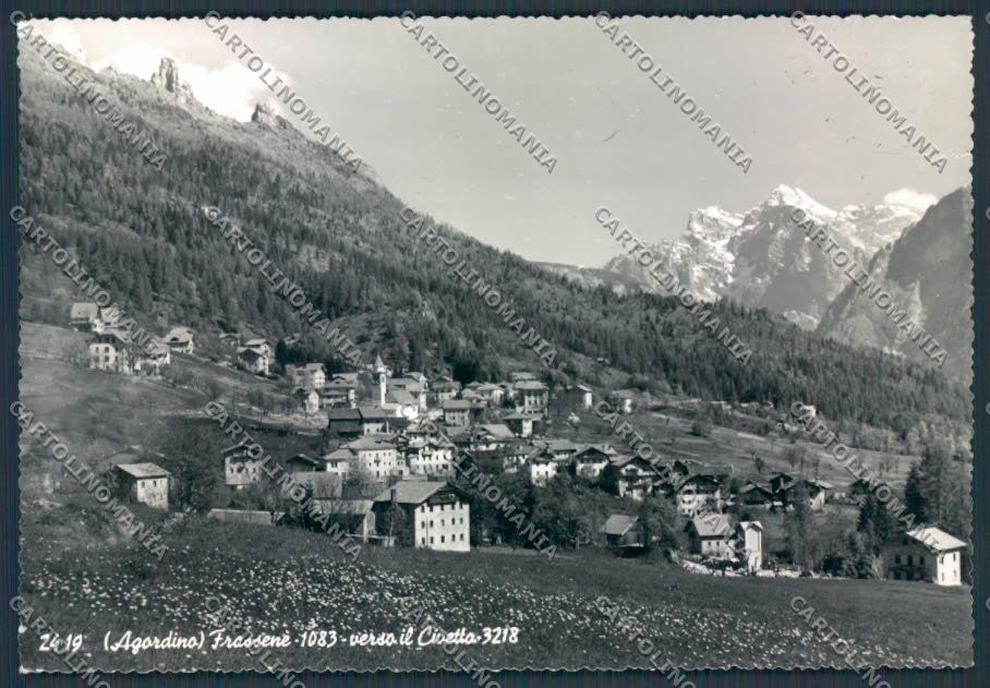 Belluno Frassenè Panorama foto FG cartolina BB9350 – fronte