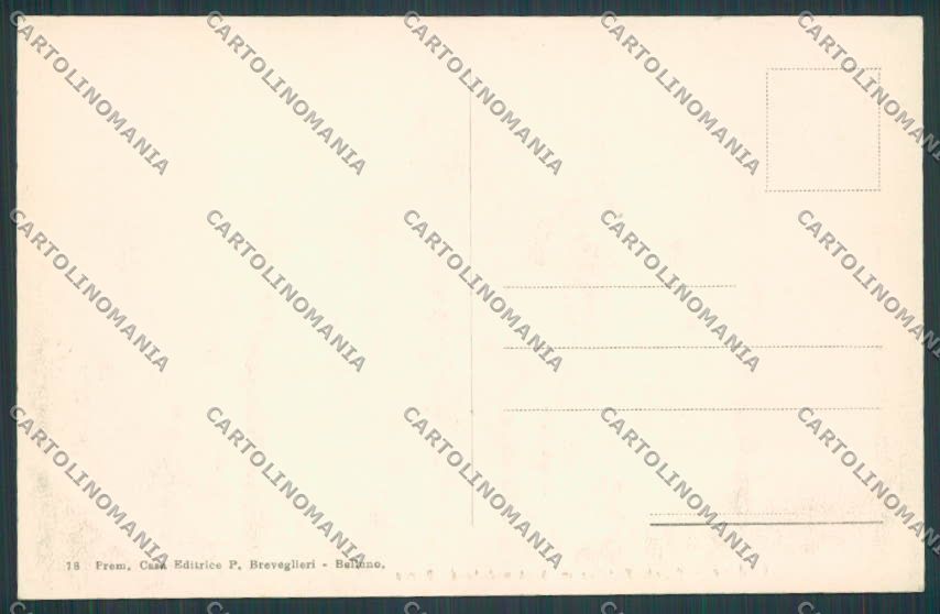 Belluno Borca di Cadore Panorama cartolina BB9360 – retro