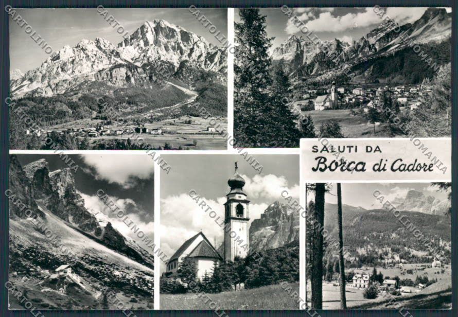 Belluno Borca di Cadore Saluti da foto FG cartolina BB9361 – fronte