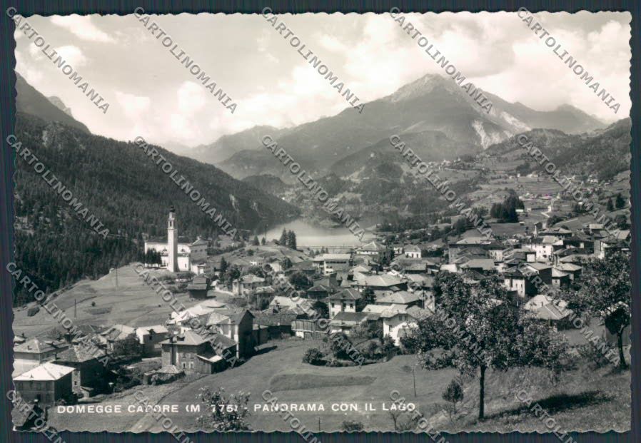 Belluno Domegge Panorama foto FG cartolina BB9363 – fronte