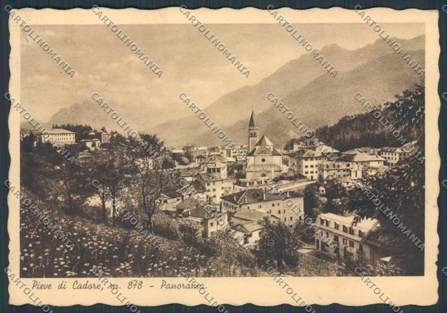 Belluno Pieve di Cadore Panorama FG cartolina BB9391 – fronte