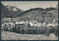 Belluno Pelos foto FG cartolina BB9398 – fronte