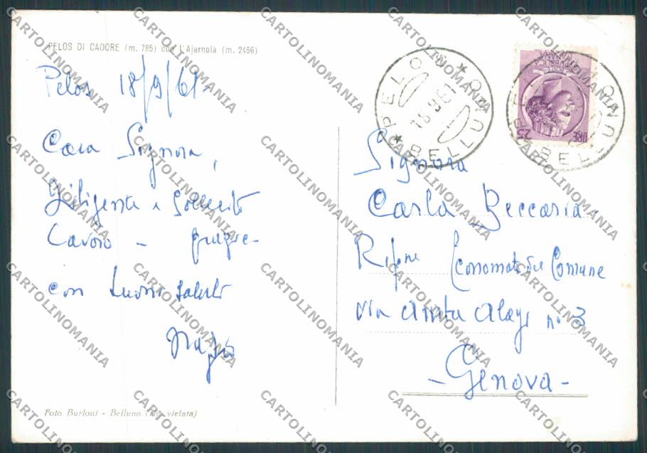 Belluno Pelos foto FG cartolina BB9398 – retro