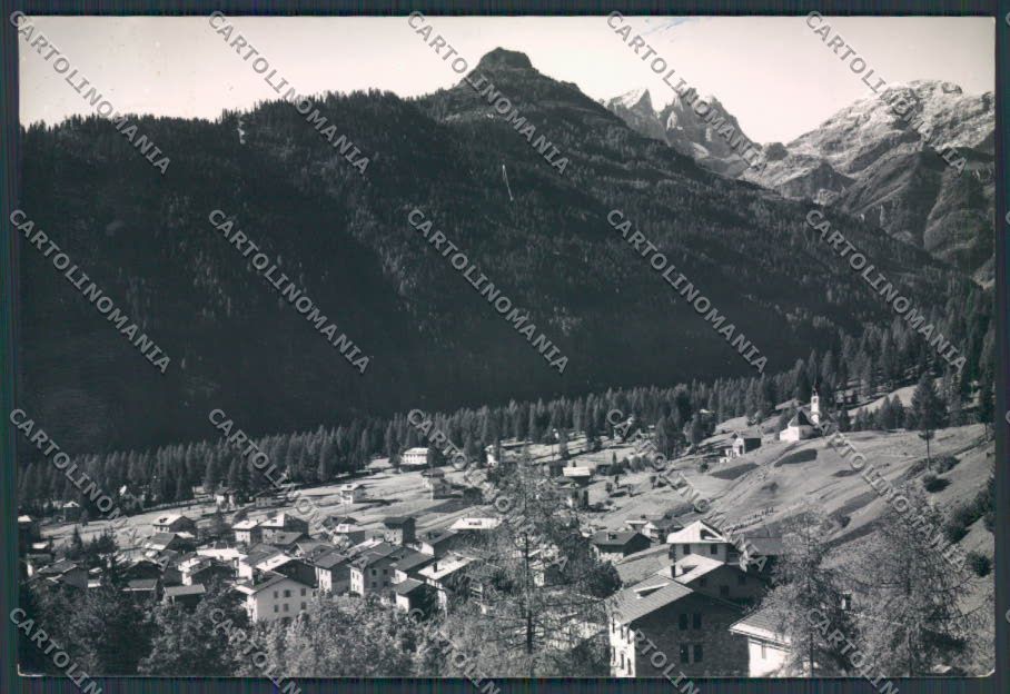 Belluno Caviola foto FG cartolina BB9402 – fronte