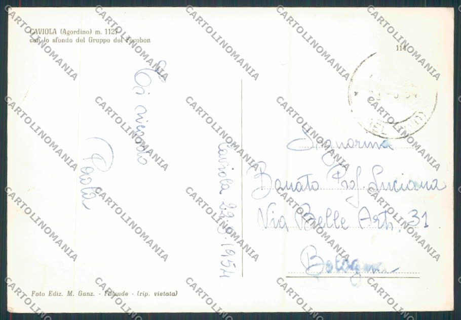 Belluno Caviola foto FG cartolina BB9402 – retro