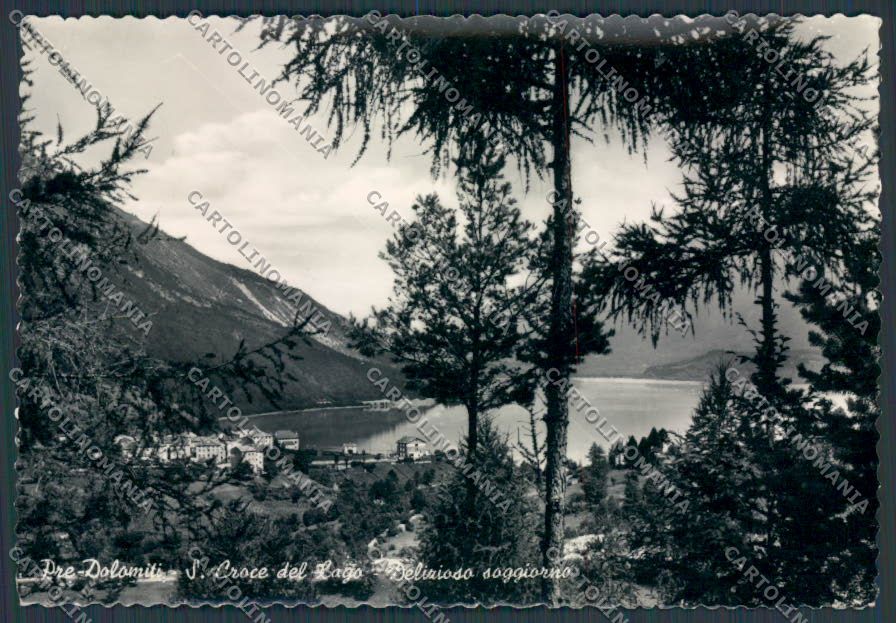 Belluno Santa Croce del Lago foto FG cartolina BB9420 – fronte