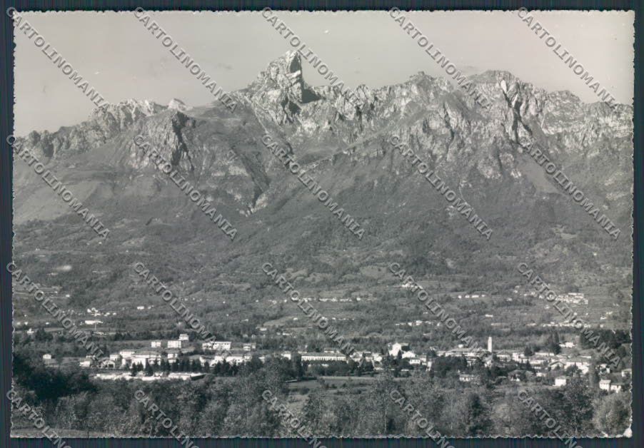 Belluno Sedico foto FG cartolina BB9431 – fronte