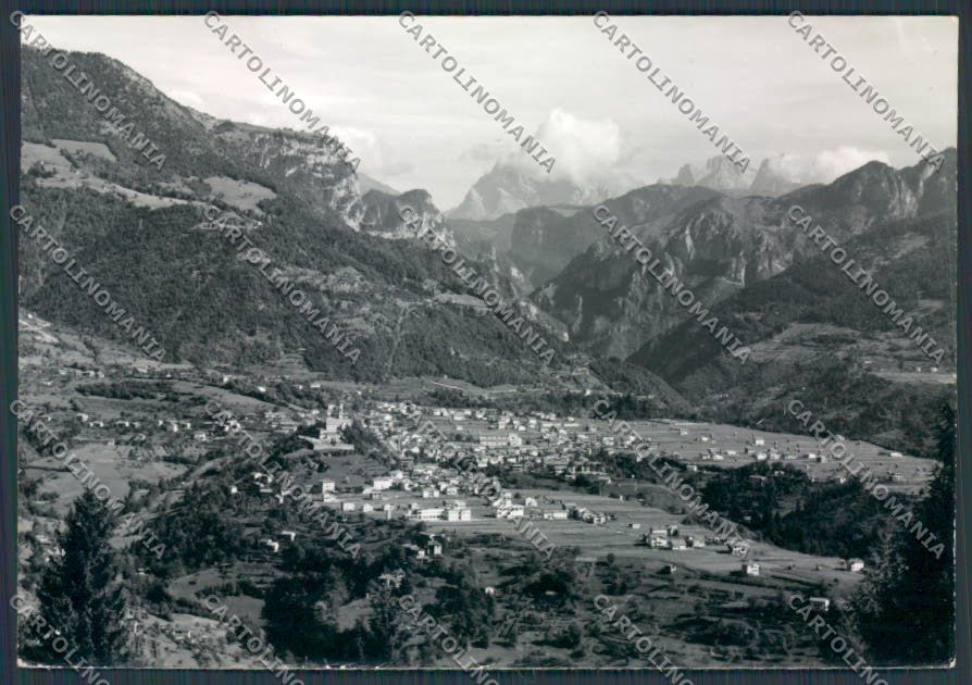 Belluno Lamon foto FG cartolina BB9438 – fronte