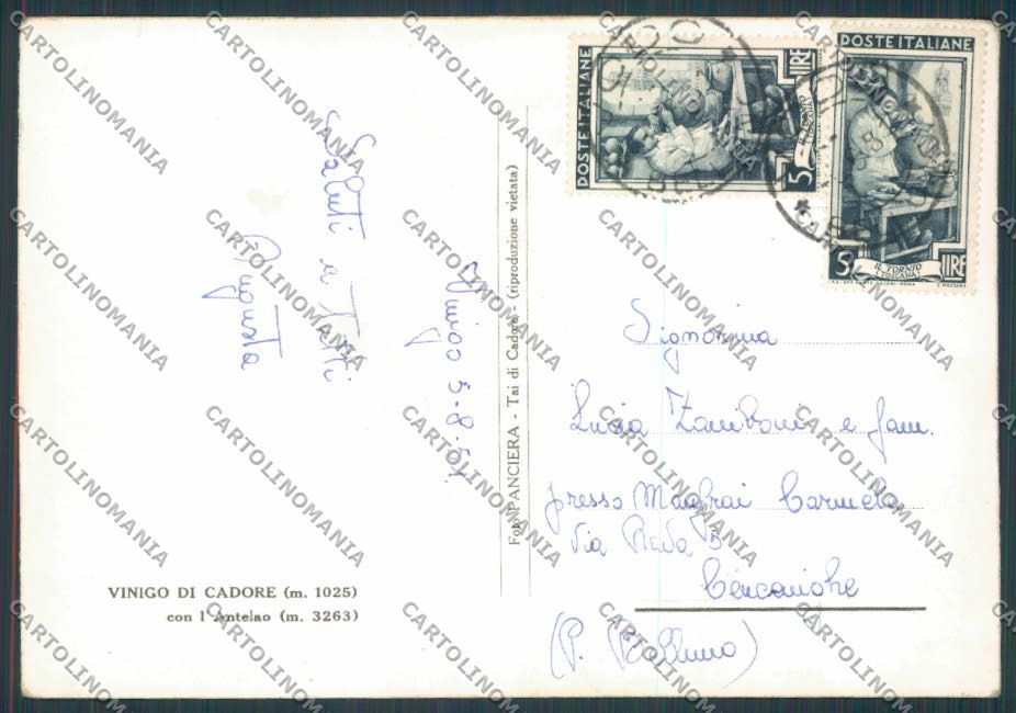 Belluno Vinigo foto FG cartolina BB9441 – retro