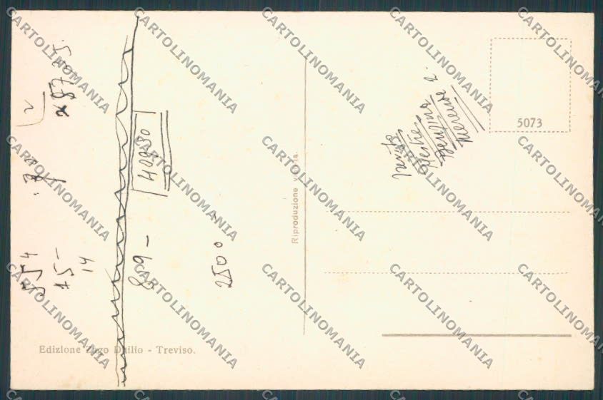Treviso Città Piazza dei Signori cartolina BB9461 – retro