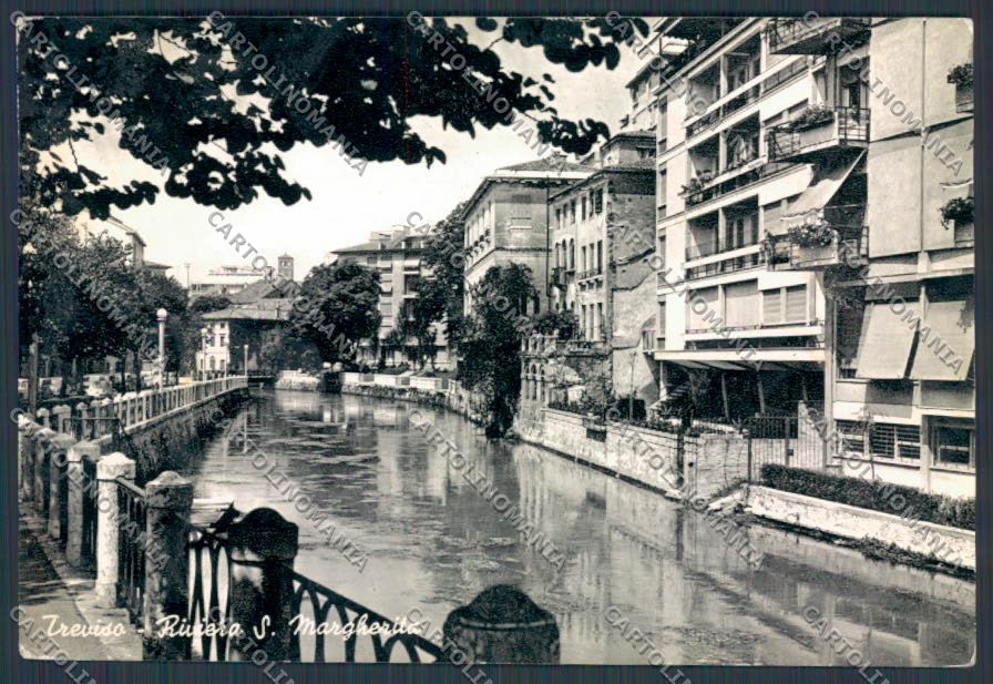 Treviso Città Riviera Santa Margherita foto FG cartolina BB9504 – fronte