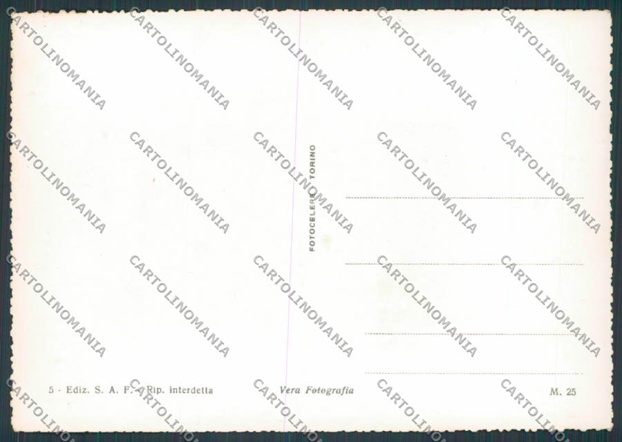 Treviso Città Viale Cesare Battisti foto FG cartolina BB9507 – retro