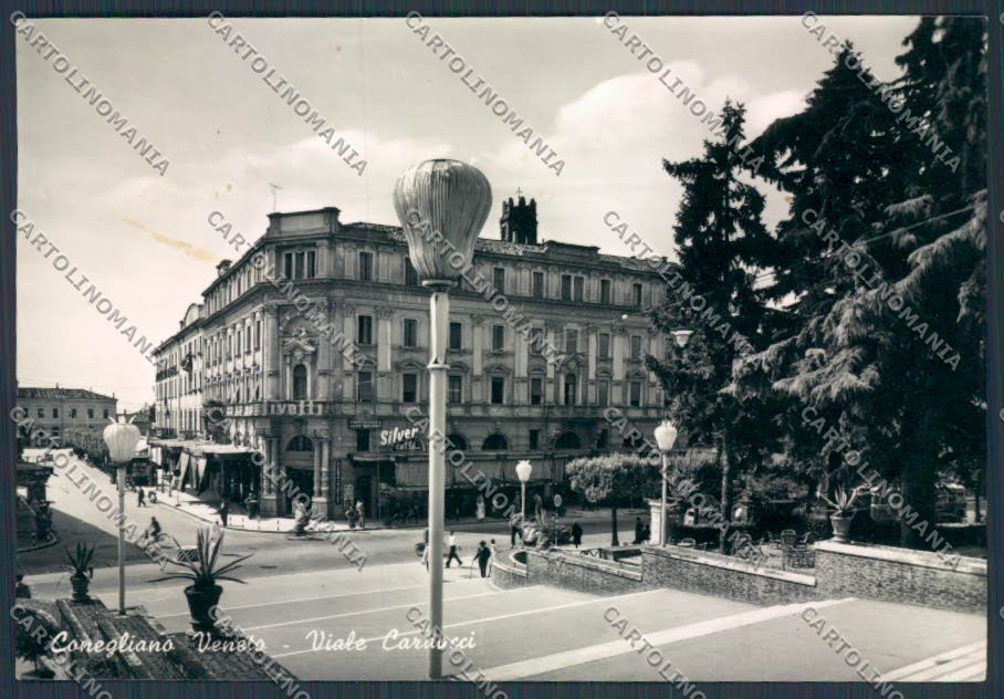Treviso Conegliano Viale Carducci foto FG cartolina BB9532 – fronte