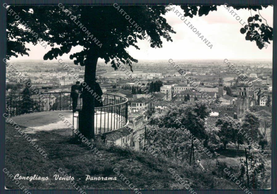 Treviso Conegliano Panorama foto FG cartolina BB9544 – fronte