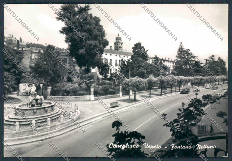 Treviso Conegliano Fontana Nettuno foto FG cartolina BB9548 – fronte