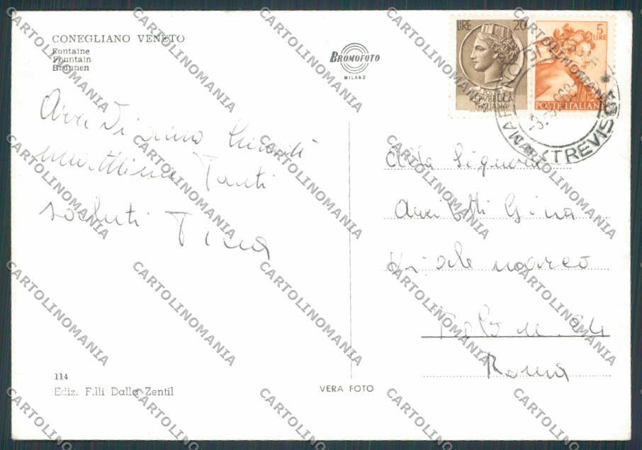 Treviso Conegliano Fontana Nettuno foto FG cartolina BB9548 – retro