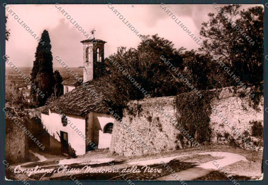 Treviso Conegliano Chiesa Madonna della Neve foto FG cartolina BB9551 – fronte