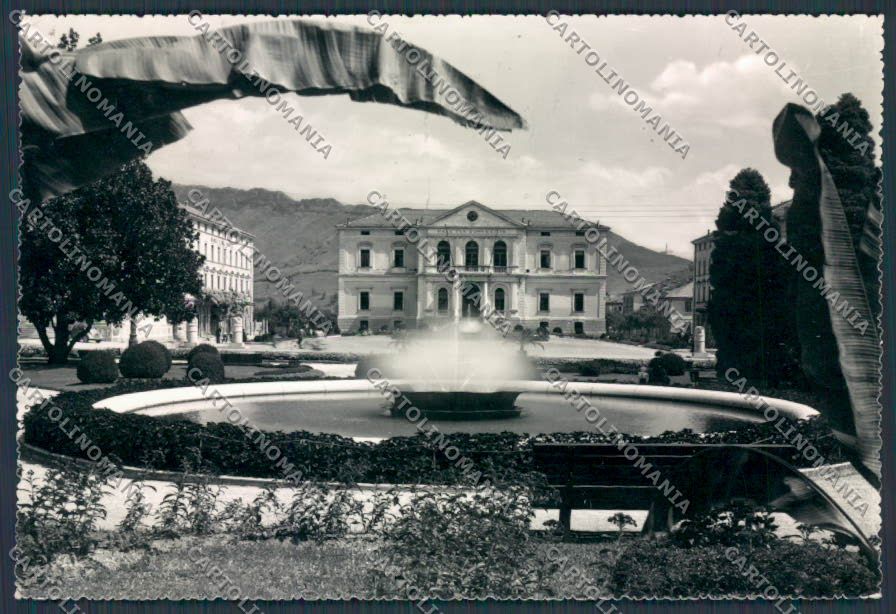 Treviso Vittorio Veneto Municipio foto FG cartolina BB9578 – fronte