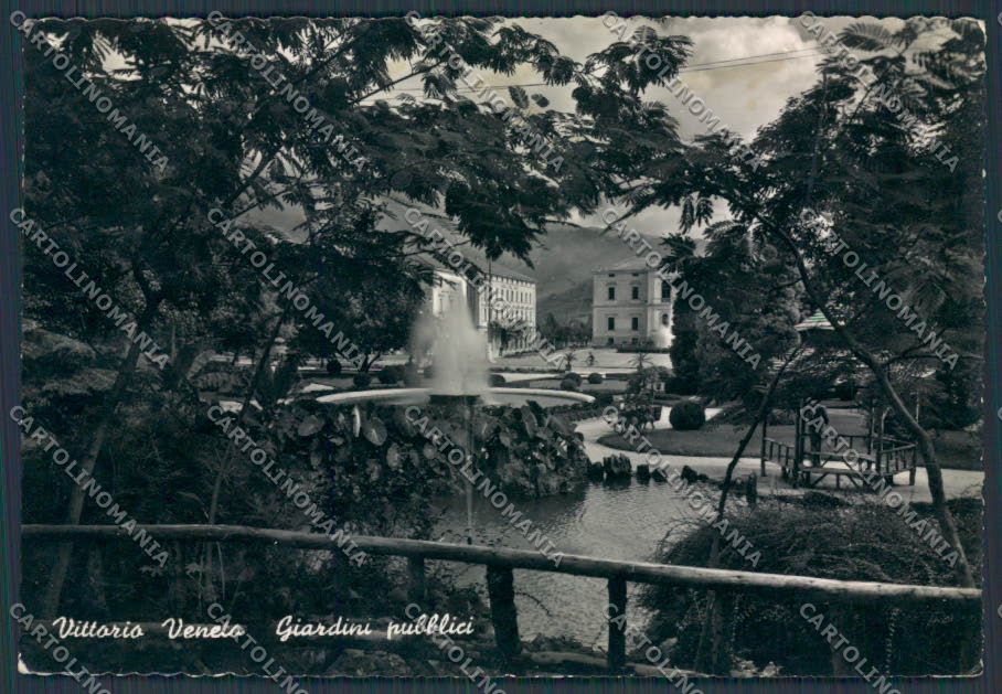 Treviso Vittorio Veneto Giardini Pubblici foto FG cartolina BB9580 – fronte