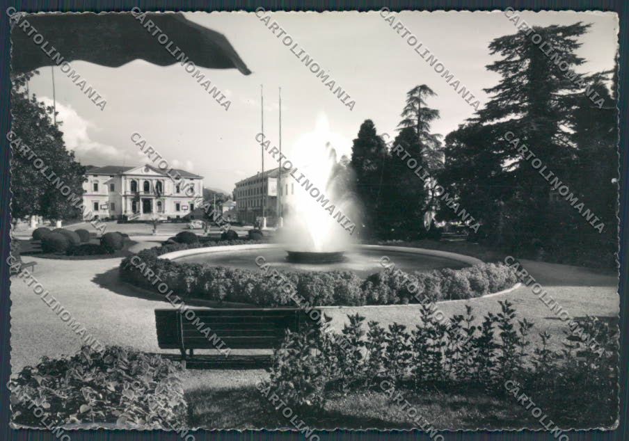 Treviso Vittorio Veneto Municipio foto FG cartolina BB9581 – fronte