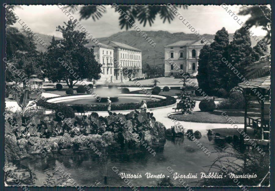 Treviso Vittorio Veneto Giardini Pubblici PIEGHINA foto FG cartolina BB9582 – fronte