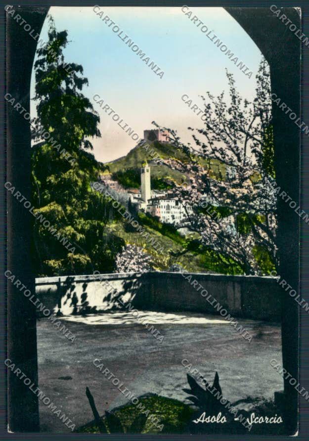 Treviso Asolo foto FG cartolina BB9624 – fronte